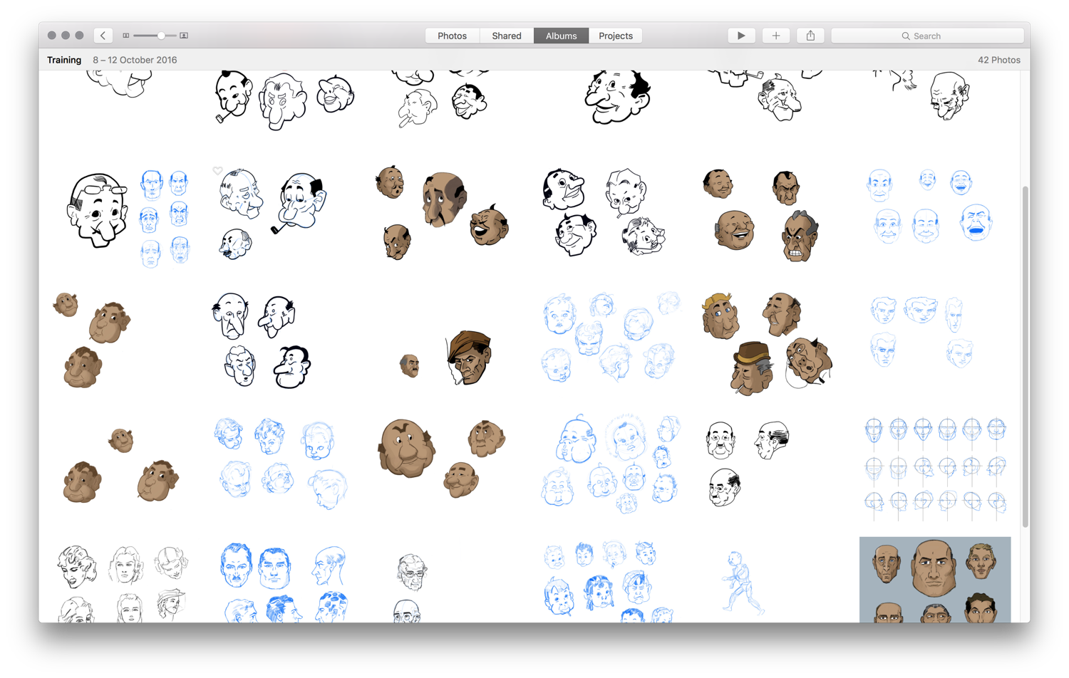 A screenshot of the Mac Photos app with lots of thumbnails of Loomis drawings
